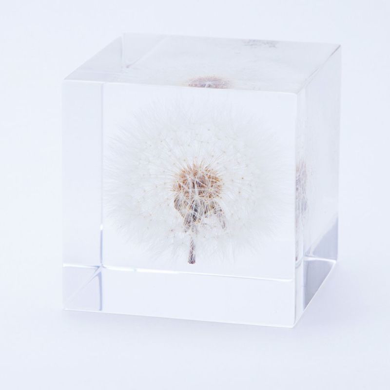 sola cube（ソラキューブ） 