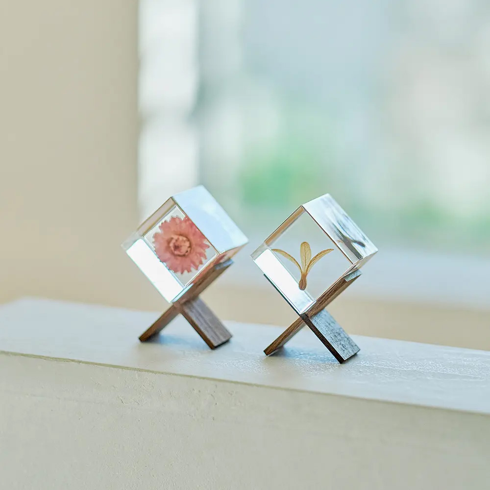 sola cube