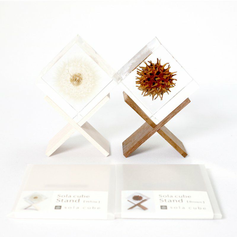 sola cube（ソラキューブ） 