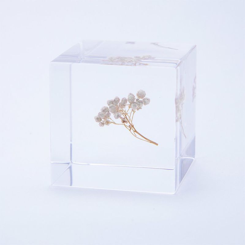sola cube（ソラキューブ） 