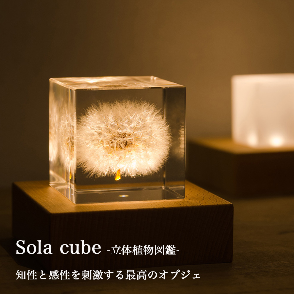 い*ち様 新品未使用！最高級！伝統工芸師　幸啓　螺鈿の帯　箱・証明書付き！ い*ち様 新品未使用！最高級！伝統工芸師 幸啓 螺鈿の